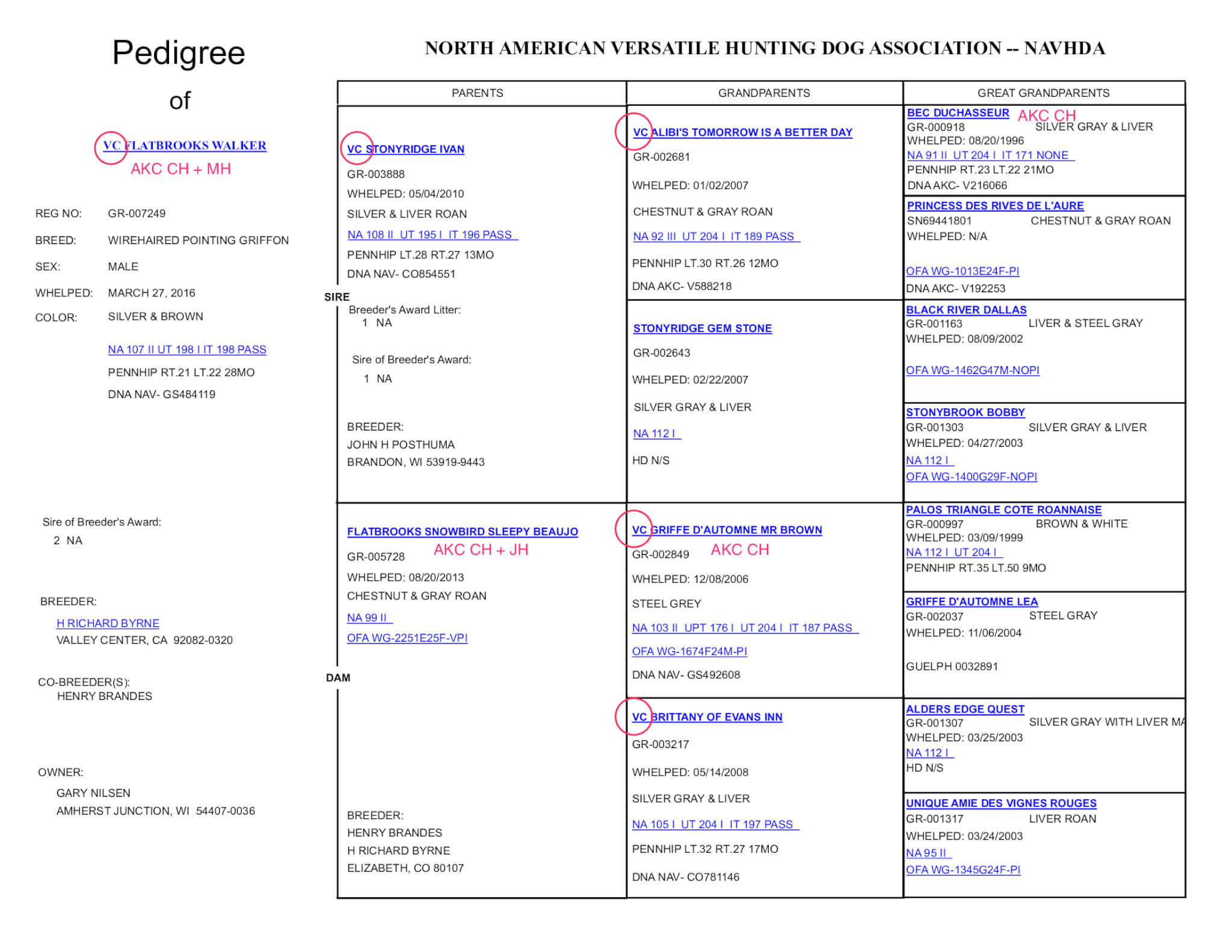 NAVHDA Pedigree for Flatbrooks Walker