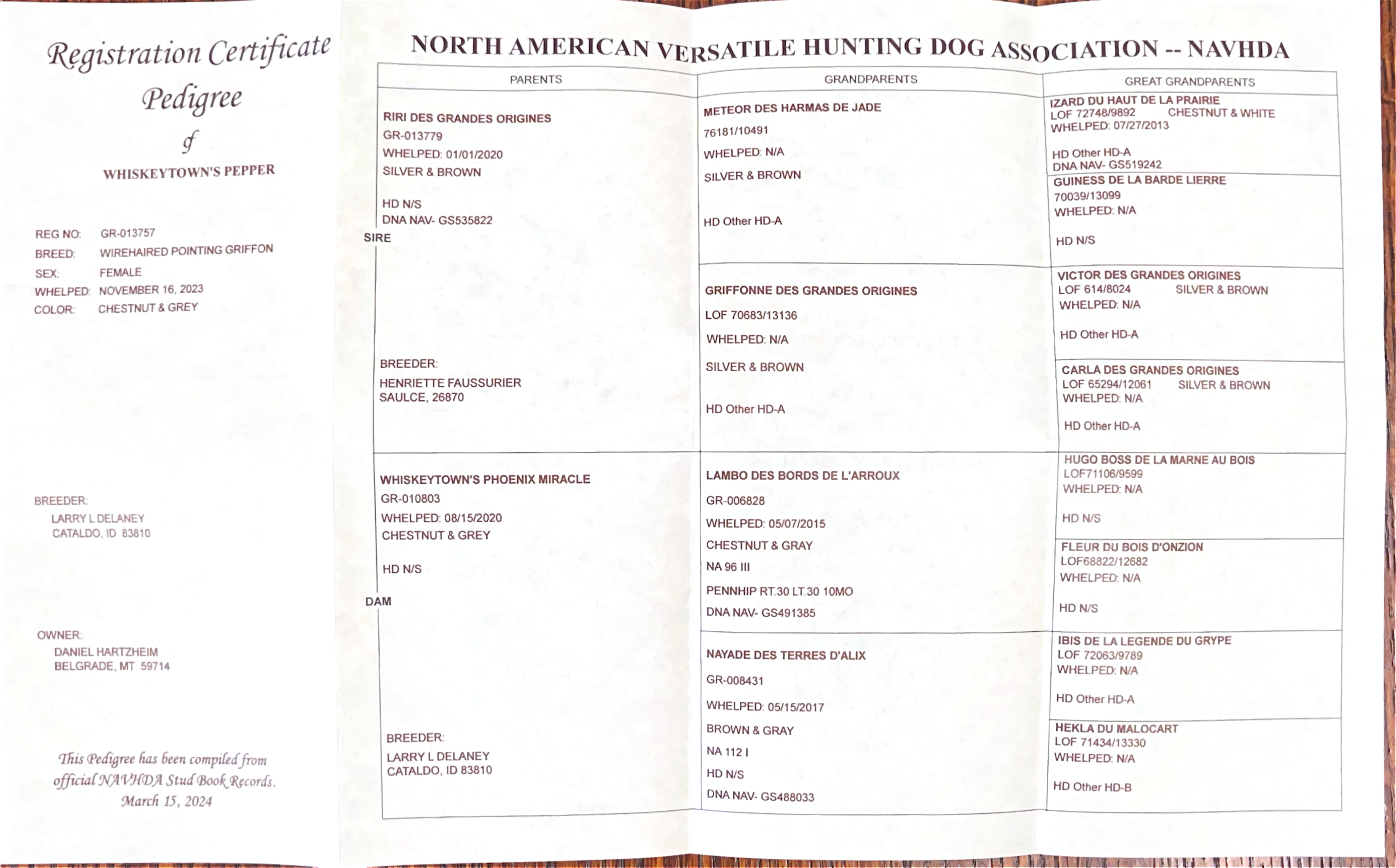 Whiskeytown's Pepper NAVHDA Registration Pedigree - Wirehaired Pointing Griffon