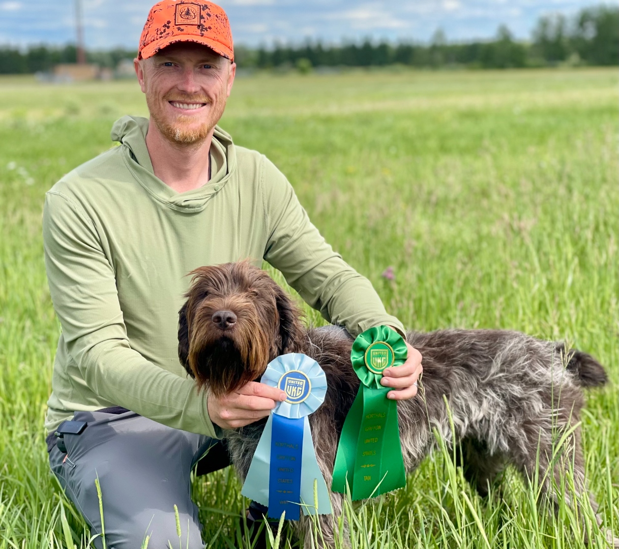 Whiskeytown's Pepper - dam - Wirehaired Pointing Griffon - Griffons Out West - Montana
