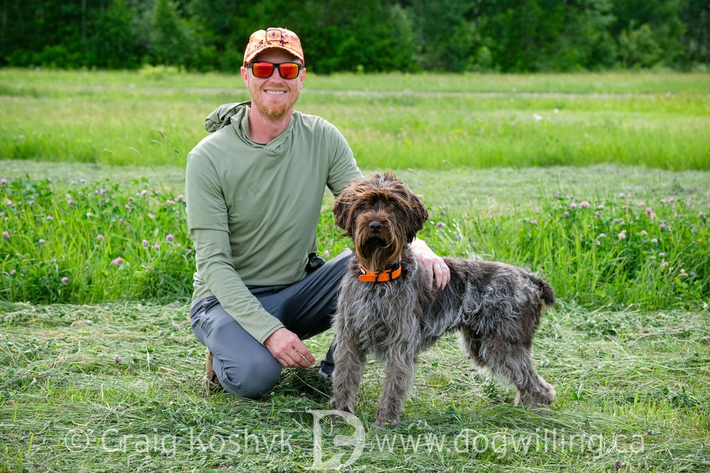 Whiskeytown's Pepper with her handler in the field - Wirehaired Pointing Griffon